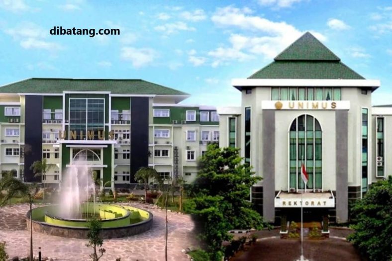 Daftar Universitas Terbaik Di Kota Semarang 2023