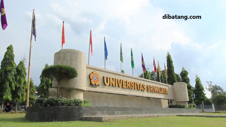 Daftar Universitas Terbaik Di Sumatera 2023